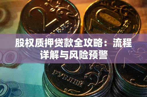 武汉股权质押贷款全攻略：流程详解与风险预警