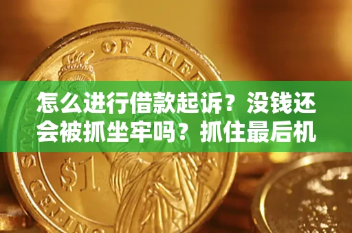 武汉怎么进行借款起诉？没钱还会被抓坐牢吗？抓住最后机会！