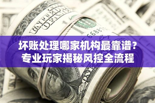 武汉坏账处理哪家机构最靠谱？专业玩家揭秘风控全流程