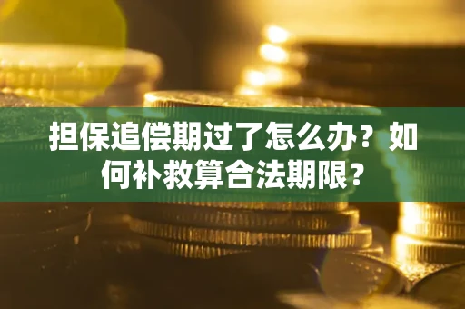 武汉担保追偿期过了怎么办？如何补救算合法期限？