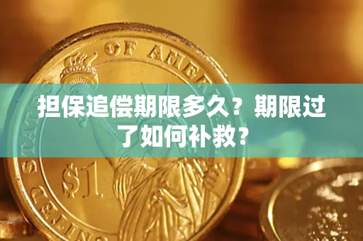 武汉担保追偿期限多久？期限过了如何补救？