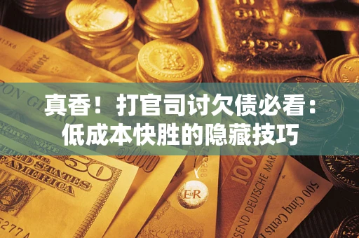 武汉真香！打官司讨欠债必看：低成本快胜的隐藏技巧