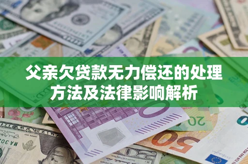 武汉父亲欠贷款无力偿还的处理方法及法律影响解析