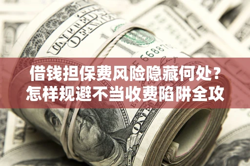 武汉借钱担保费风险隐藏何处？怎样规避不当收费陷阱全攻略！